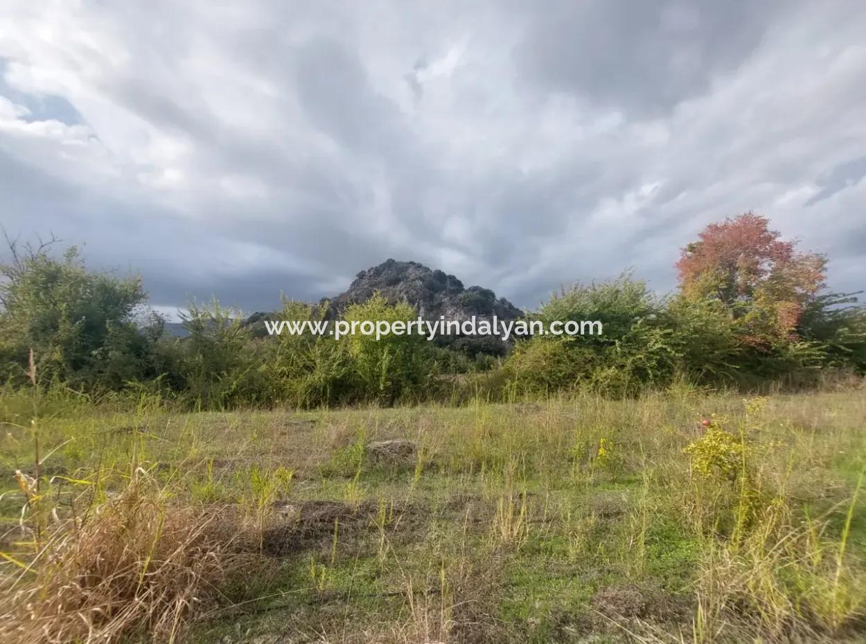 Mugla Dalyan Da Müstakil 15 000 M2, 250 M2 İnşaat Hakkı Olan Arazi Satılık