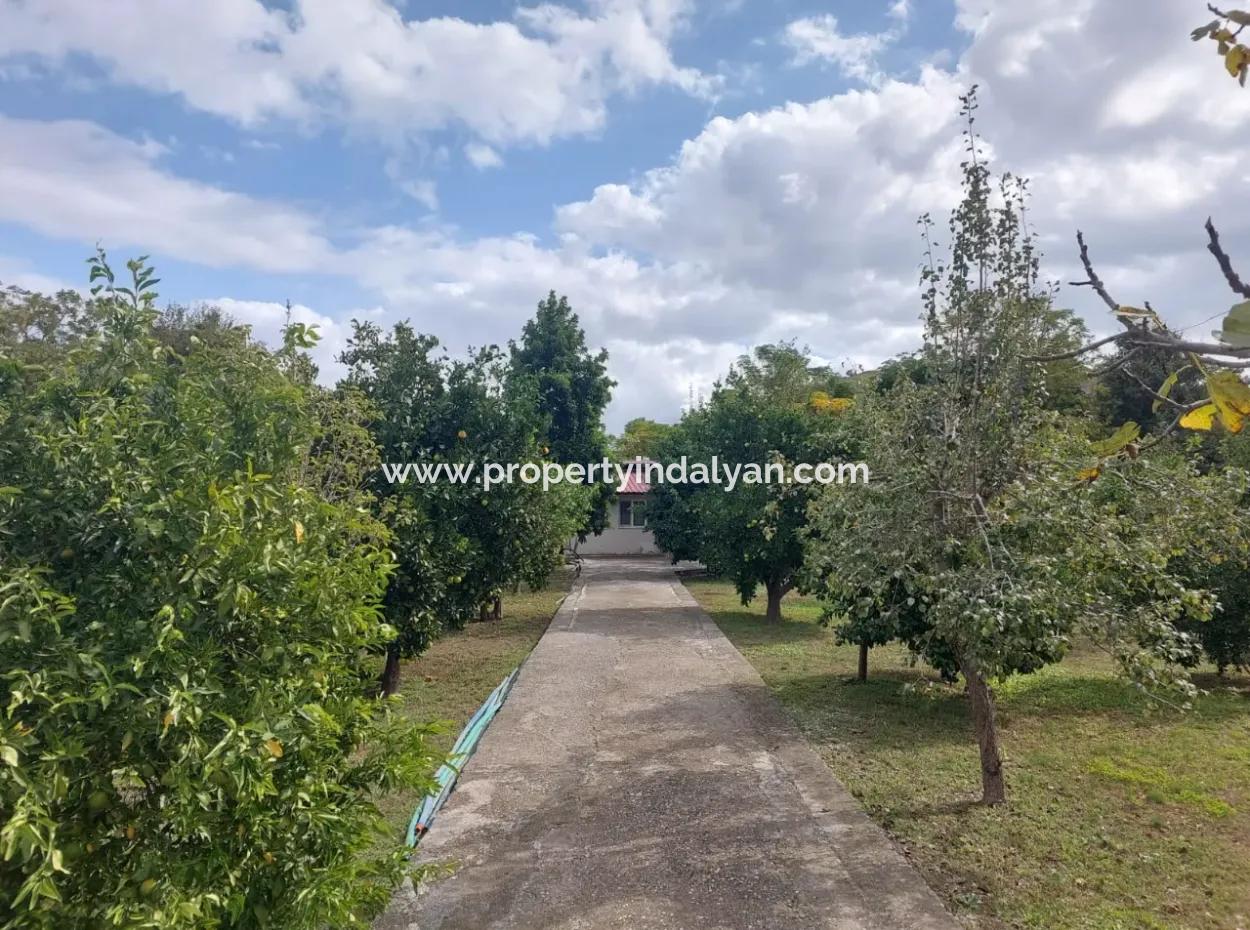 Ortaca Akıncı Sarıgerme Yoluna Sıfır 902 M2 Arsada 2+1, 70 M2 Köy Evi Satılık