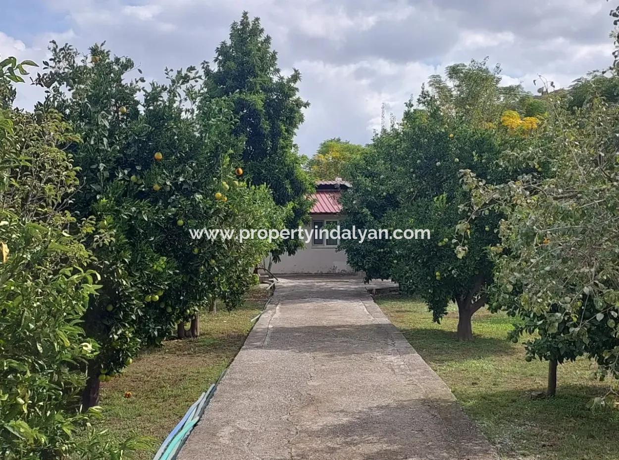 Ortaca Akıncı Sarıgerme Yoluna Sıfır 902 M2 Arsada 2+1, 70 M2 Köy Evi Satılık