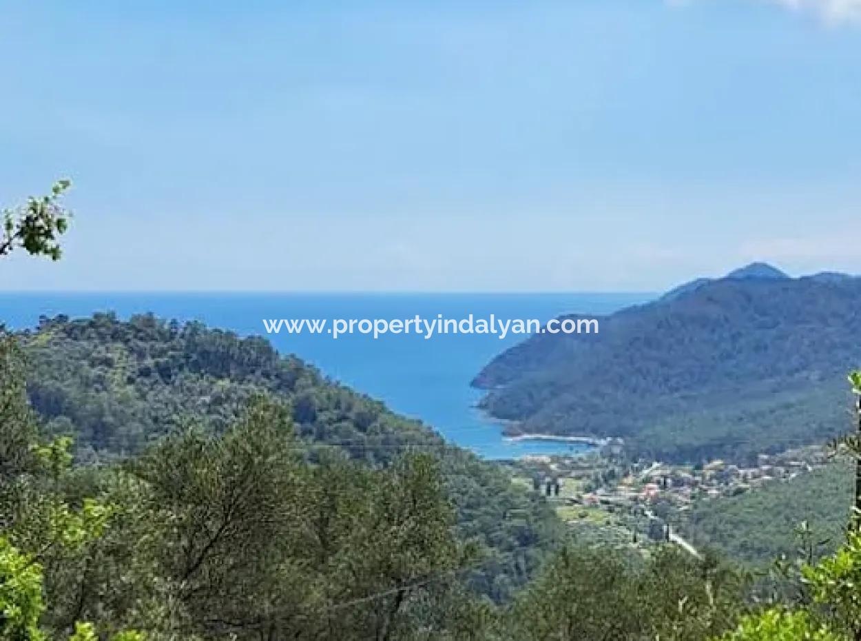 Muğla Köyceğiz Ekincik’te 720 M² Deniz Manzaralı Satılık Zeytinlik