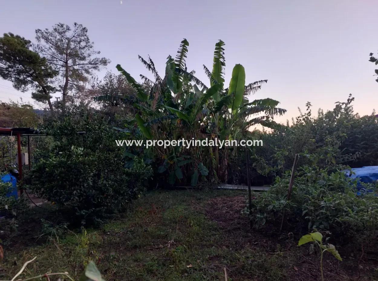 Ortaca Çaylı Da 350 M2 Müstakil Tiny House Uygun Arazi Satılık