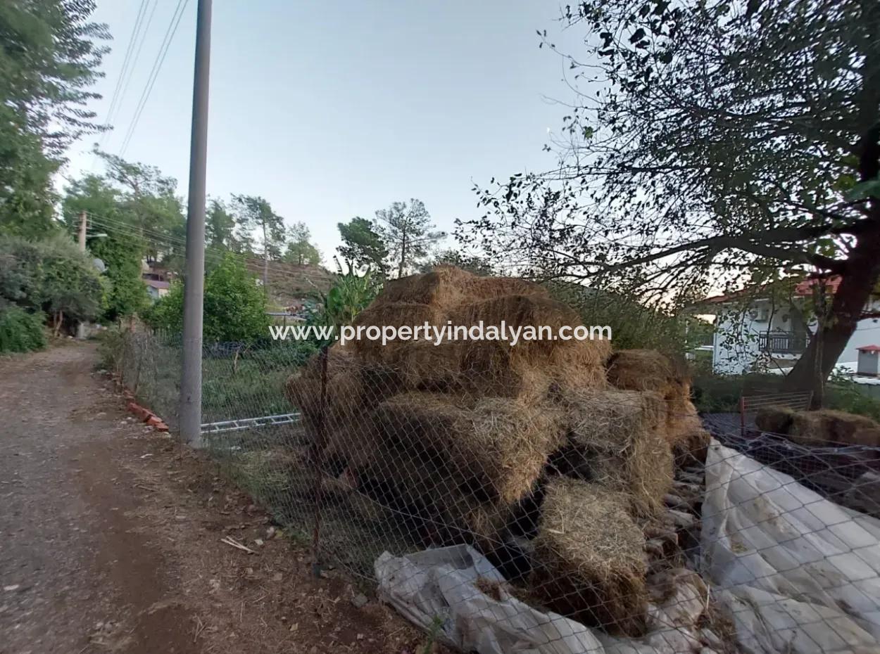 Ortaca Çaylı Da 350 M2 Müstakil Tiny House Uygun Arazi Satılık