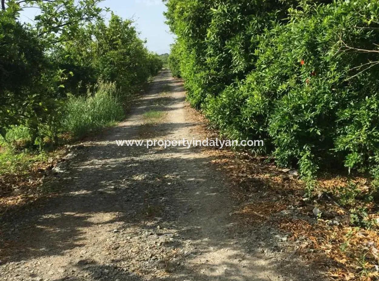 Muğla Ortaca Okçularda Eşyasız Kiralık 2+1 Bahçeli Köy Evi