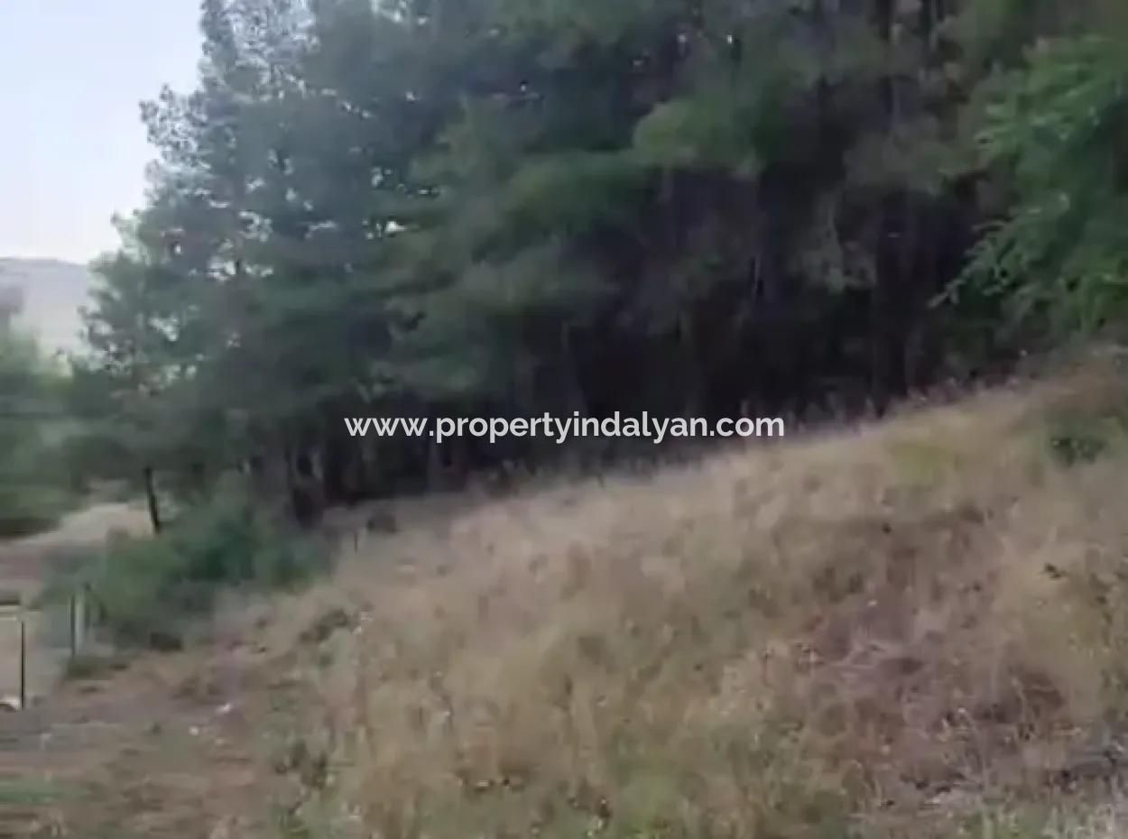 Muğla Ula  Kızılyaka 790M2 Hazine Arazisi Zilliyet Hakkı Devir Edilecek Veya  Araç Takas Olur