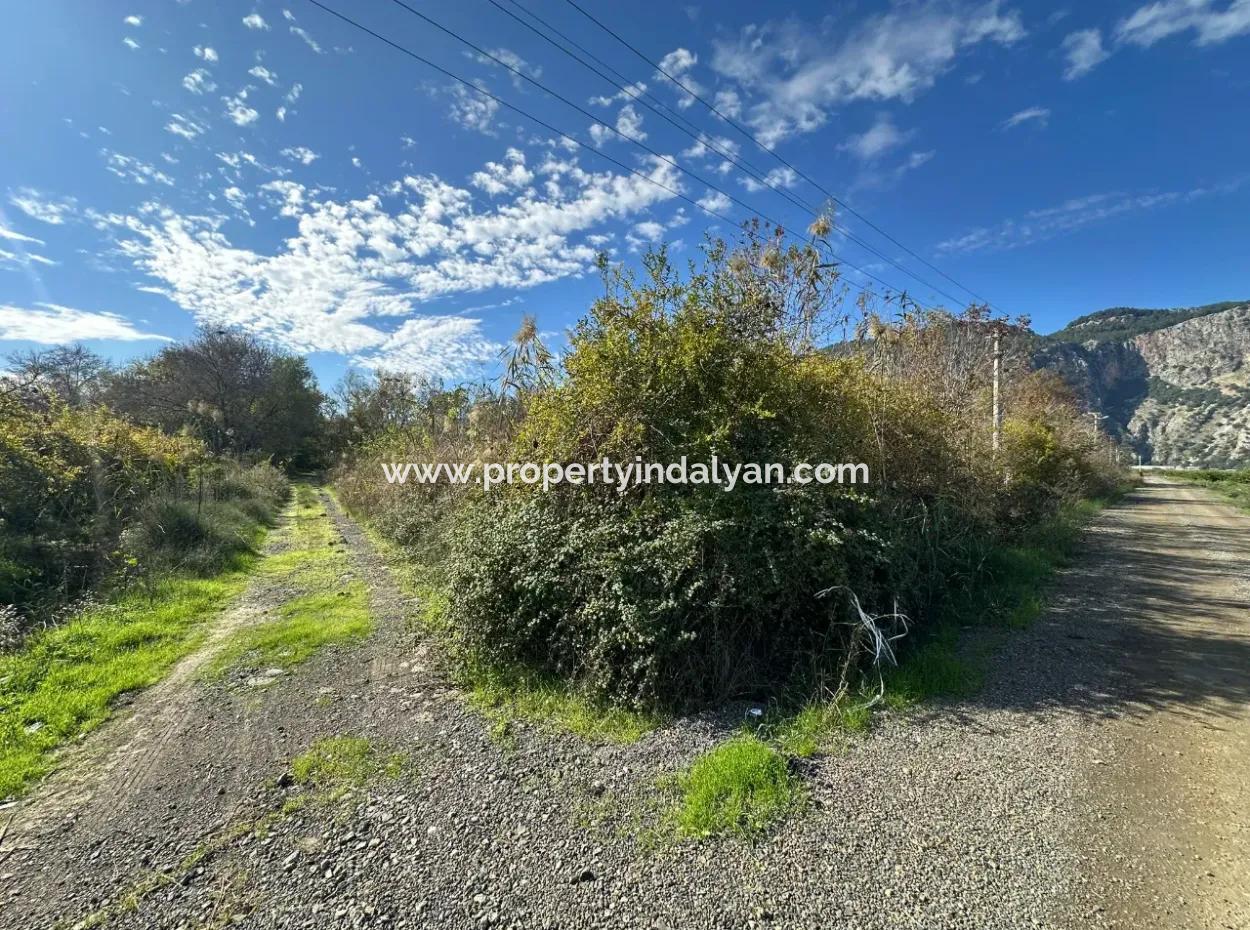 Ortaca Yeşilyurt Da 12 000 M2 Tarla Satılık