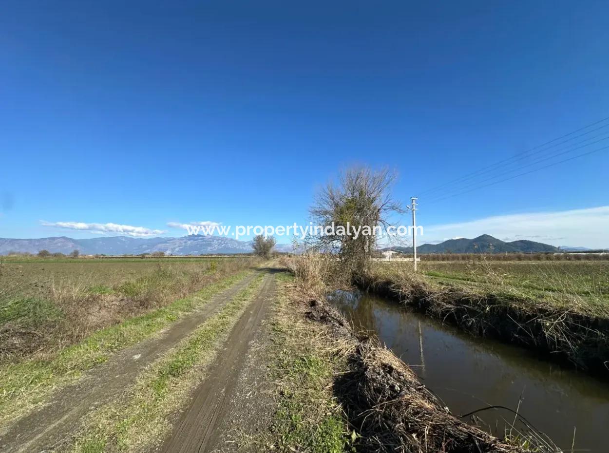 Dalyana Yakın Konumda, Köyceğiz Gölüne Yakın Satılık Tarla
