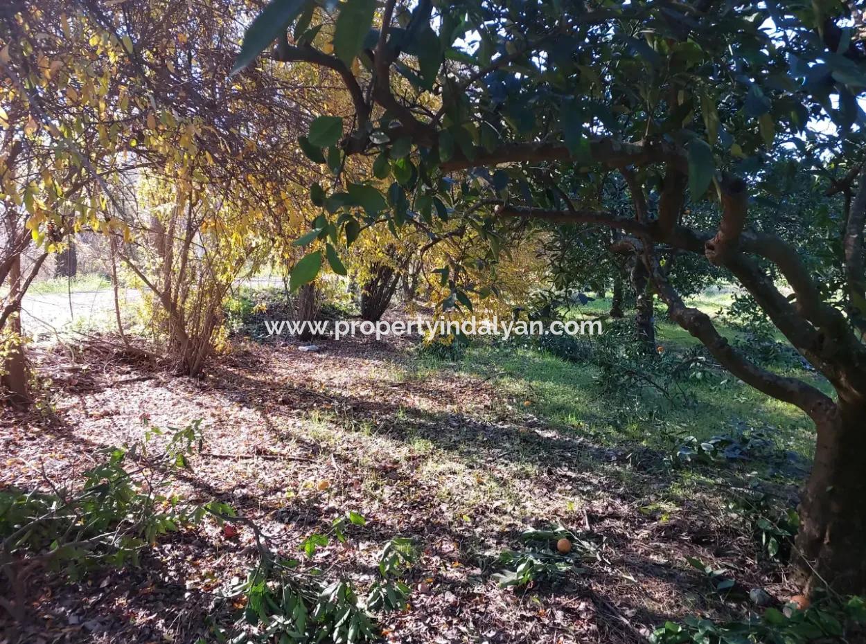 Ortaca  Okçular Da 1000 M2 Müstakil Arsa 250 M2 İnşaat Hakkı Olan Satılık Veya Ortaca Dan  2-3 Daire İle Takas Olur