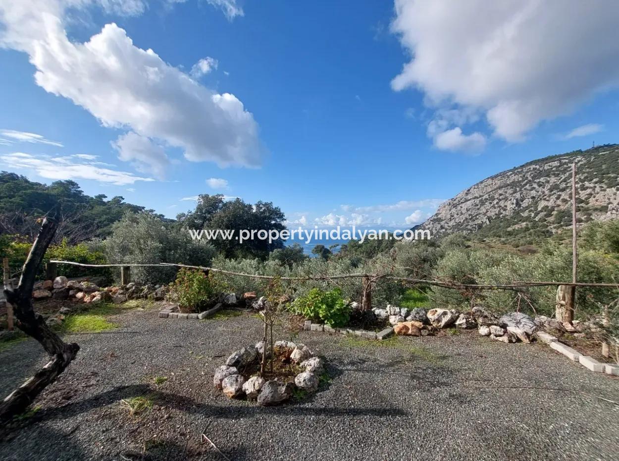 Muğla Dalyan Gökbel De Deniz Manzaralı 2 Müstakil Daire Kiralık