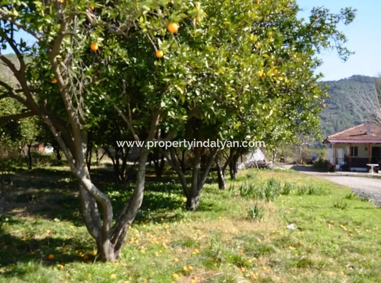 Ortaca Okçularda Satılık Kelepir Köy Evi