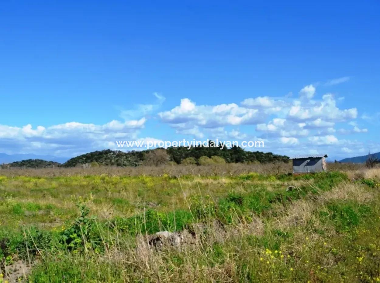 Dalyanda Satılık Müstakil Kelepir Tarla