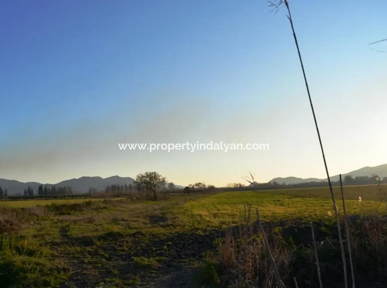 Ula Karaböğürtlende Acil Satılık Kelepir Arazi