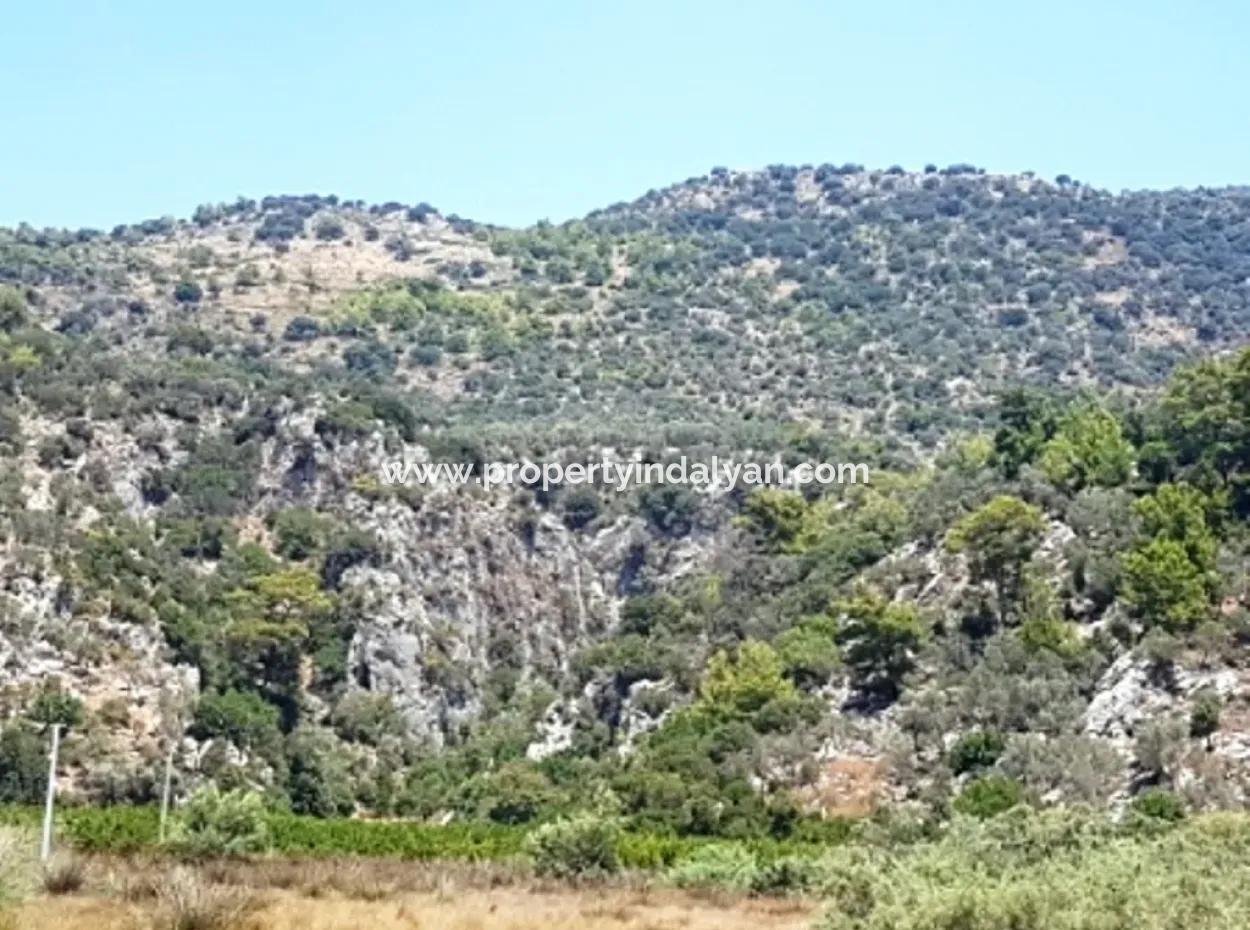 Muğla Dalaman Kapıkargında Satılık Deniz Manzaralı Arazi