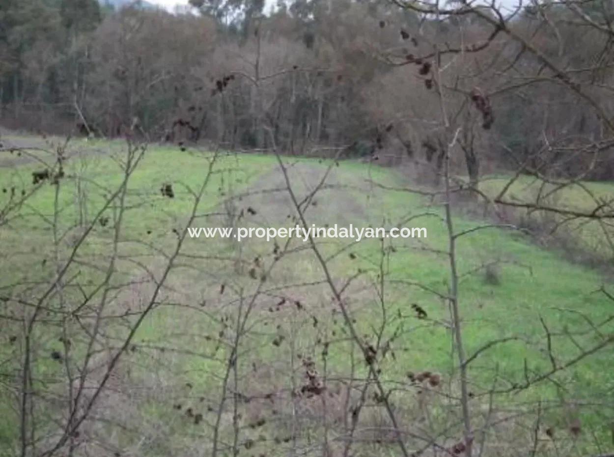 Ula Karaböğürtlende Satılık Ana Yola Sıfır Arazi