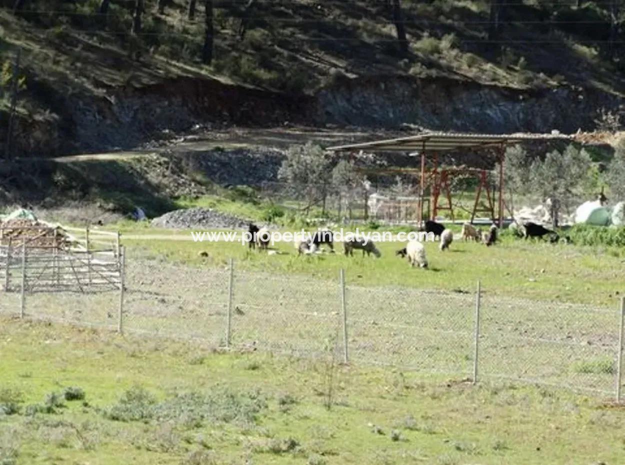 Ortaca Gölbaşında 10,000 M2 Yatırıma Uygun Arazi Satılık