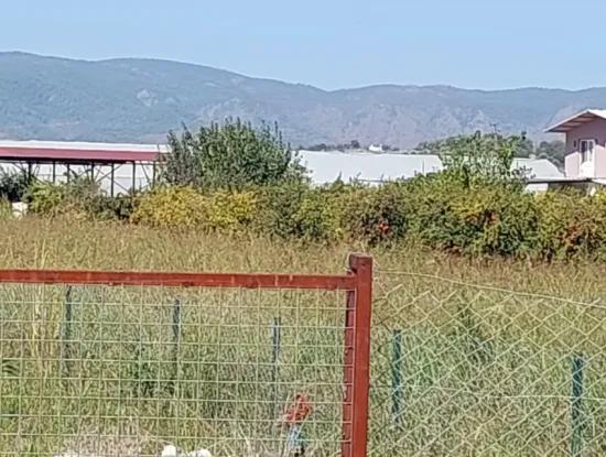 Dalyan Eskiköy Çiftlik Yolu Üzerinde Arsa Ve 2+1  Konteyner Ev Satılık