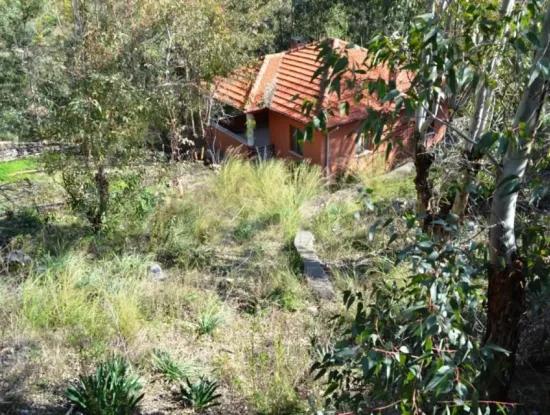 Dalaman'da Toplu Konut Yapmaya 6 165 M2, Uygun 18 Villa İmarlı Arsa Kat Karşılığı Verilecek