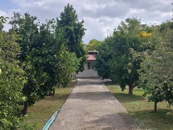 Ortaca Akıncı Sarıgerme Yoluna Sıfır 902 M2 Arsada 2+1, 70 M2 Köy Evi Satılık
