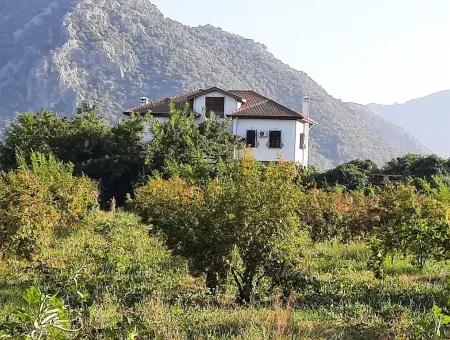 Muğla Dalyan Marmarlıda Satılık Yatırıma Uygun Arazi