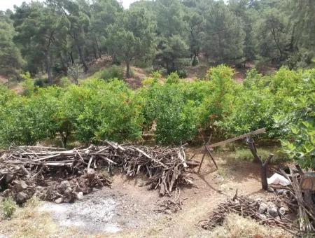 Ortaca Tepearasında Satılık Göl Manzaralı Arazi