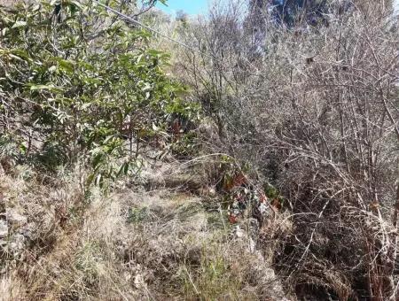 Ula Gökovada Satılık Deniz Ve Doğa Manzaralı Müstakil Köy Evi