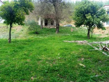 Muğla Köyceğiz Köyceğiz Mah.de 1026 M2 Müstakil Arsa Satılık