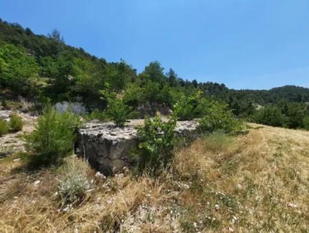 Denizli Çameli Gökçeyakada 2762 M2 Müstakil Arazi Satılık