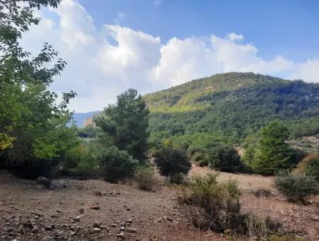 Muğla Dalyan Gökbelde 320 M2 Kelepir Arazi Satılık