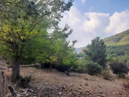 Muğla Dalyan Gökbelde 320 M2 Kelepir Arazi Satılık