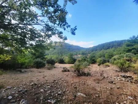 Muğla Dalyan Gökbelde 320 M2 Kelepir Arazi Satılık