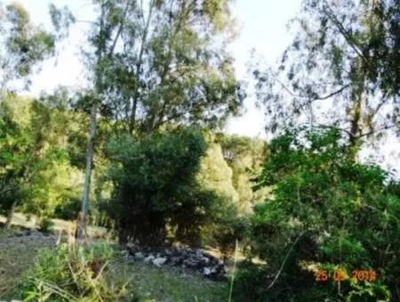 Fethiye Eldirekte Deniz Manzaralı 600 M2 Arsa Satılık