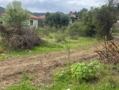 Muğla Köyceğiz Çandır Da 541  M2 Müstakil Satılık Arsa