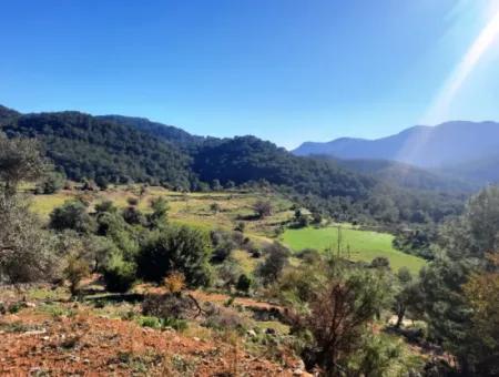 Muğla Ortaca Dalyan Gökbelde 3 100 M2 2B Arazisi Zilliyet Hakkı Devir Edilecek