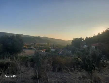 Muğla Ula Çıtlıkda 250 M2 İnşaat Hakkı Olan 1 700 M2 Arsa Satılık. 