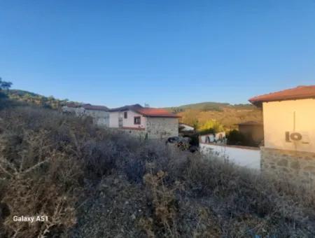 Muğla Ula Çıtlıkda 250 M2 İnşaat Hakkı Olan 1 700 M2 Arsa Satılık. 