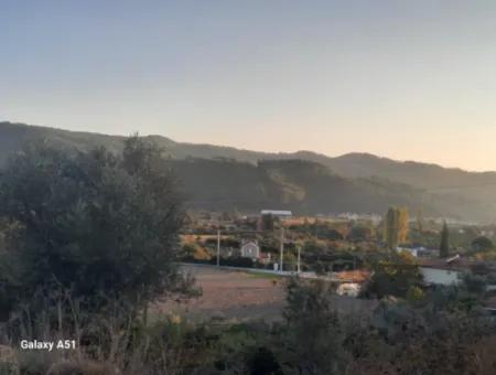 Muğla Ula Çıtlıkda 250 M2 İnşaat Hakkı Olan 1 700 M2 Arsa Satılık. 