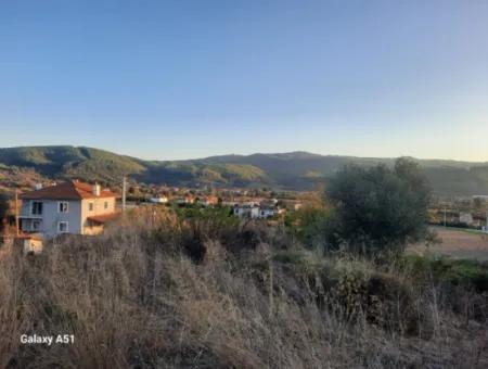 Muğla Ula Çıtlıkda 250 M2 İnşaat Hakkı Olan 1 700 M2 Arsa Satılık. 