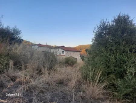Muğla Ula Çıtlıkda 250 M2 İnşaat Hakkı Olan 1 700 M2 Arsa Satılık. 