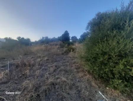 Muğla Ula Çıtlıkda 250 M2 İnşaat Hakkı Olan 1 700 M2 Arsa Satılık. 