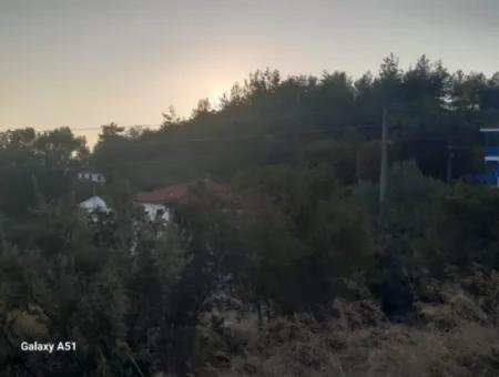 Muğla Ula Çıtlıkda 250 M2 İnşaat Hakkı Olan 1 700 M2 Arsa Satılık. 