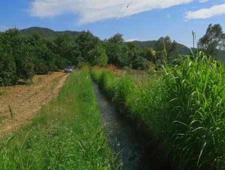 Köyceğiz Beyobasında Satılık Kelepir Tarla