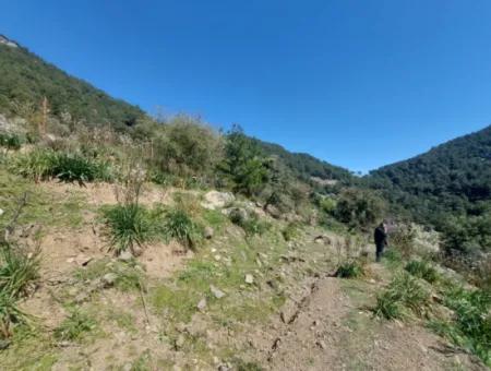 Ortaca Gökbelde  Müstakil 12 132M2 Doğa İçinde Kelepir Arazi Satılık