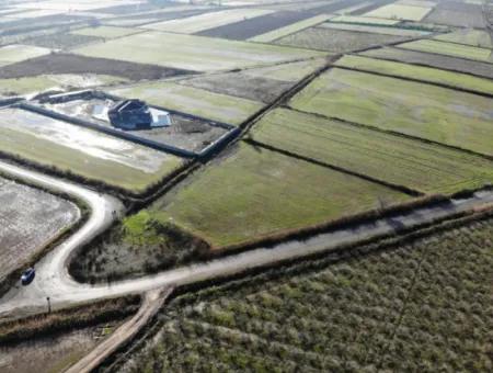 Ortaca Güzelyurtda Kooperatife Uygun Tarlalar Satılık