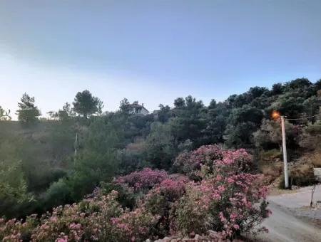 Muğla Ortaca Gökbel’de Satılık Müstakil Tapulu  238 M2 Hobi Bahçesi