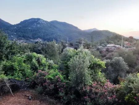 Muğla Ortaca Gökbel’de Satılık Müstakil Tapulu  238 M2 Hobi Bahçesi