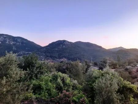 Muğla Ortaca Gökbel’de Satılık Müstakil Tapulu  238 M2 Hobi Bahçesi