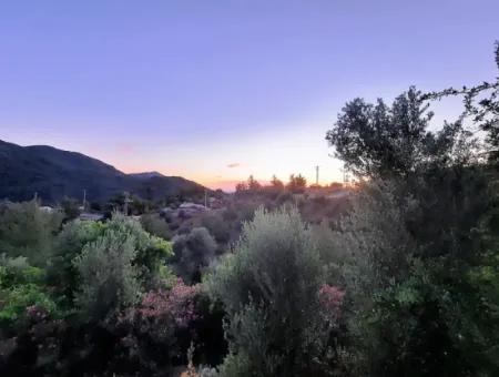 Muğla Ortaca Gökbel’de Satılık Müstakil Tapulu  238 M2 Hobi Bahçesi
