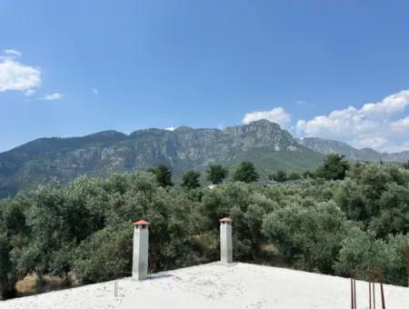 Köyceğiz Zeytinalanında 1608 M2 Zeytinlik Satılık