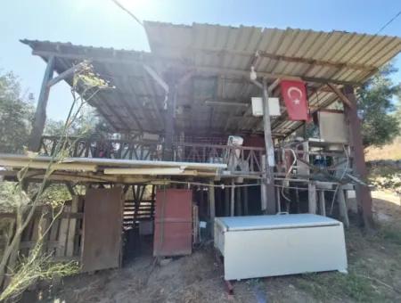 Ortaca Eskiköyde 2.500M2 Hazine Arazisinde Numaratajı Olan Bina İle Devren Satılık