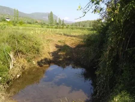 Zeytinalanında Satılık Kelepir Müstakil Arazi