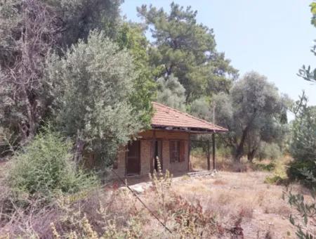 Muğla Köyceğiz Çandır’da Göl Manzaralı Köy Evi Ve Zeytinlik Arazi Satılık